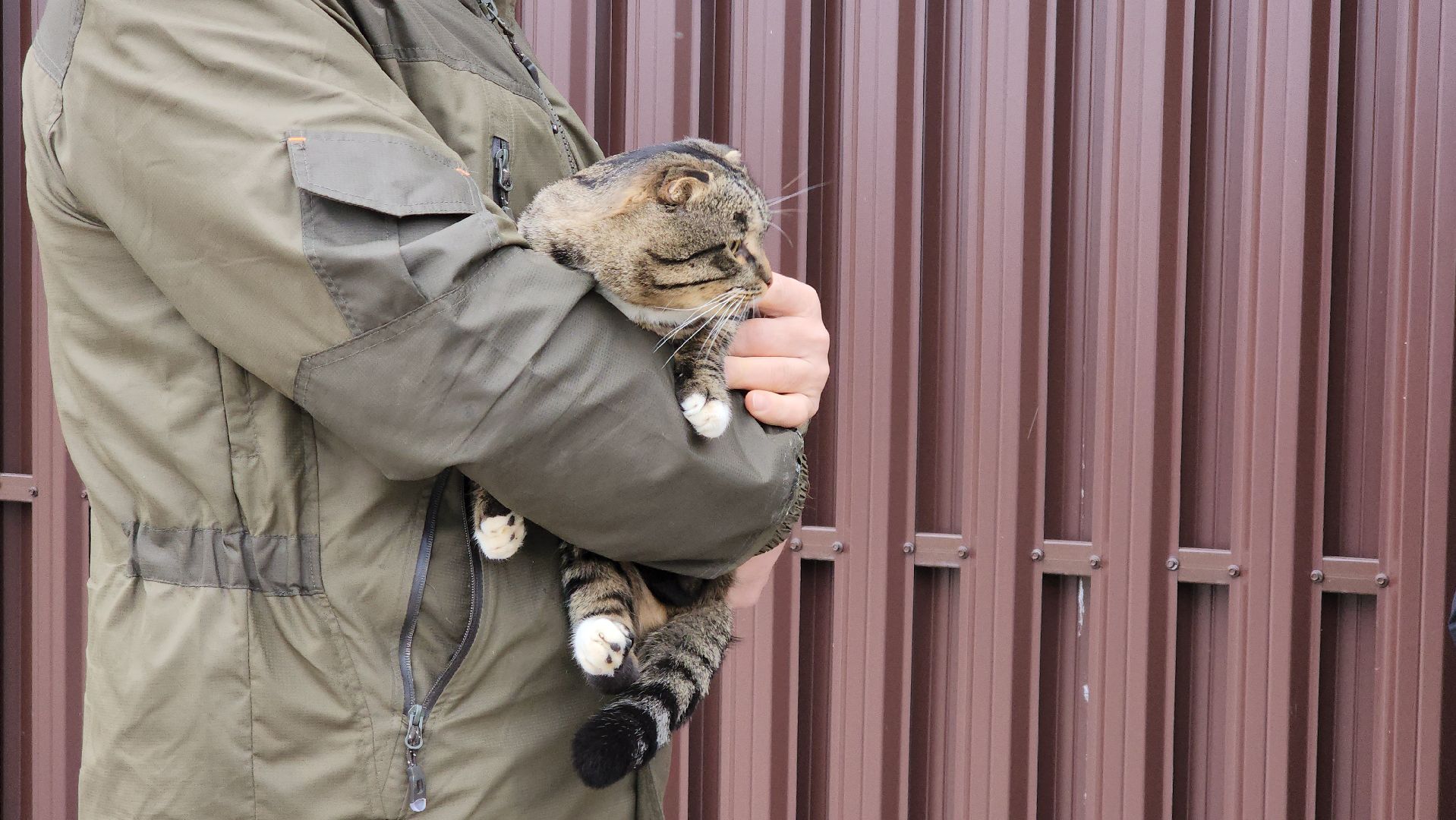 вертикалки,