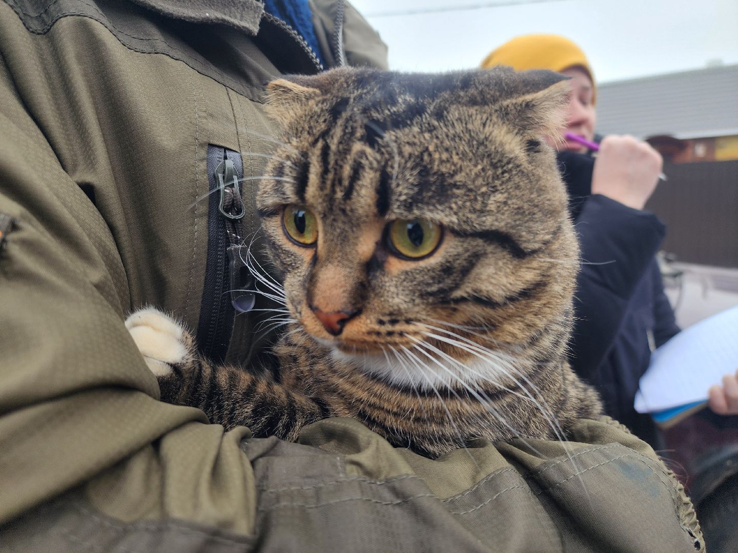 вертикалки,