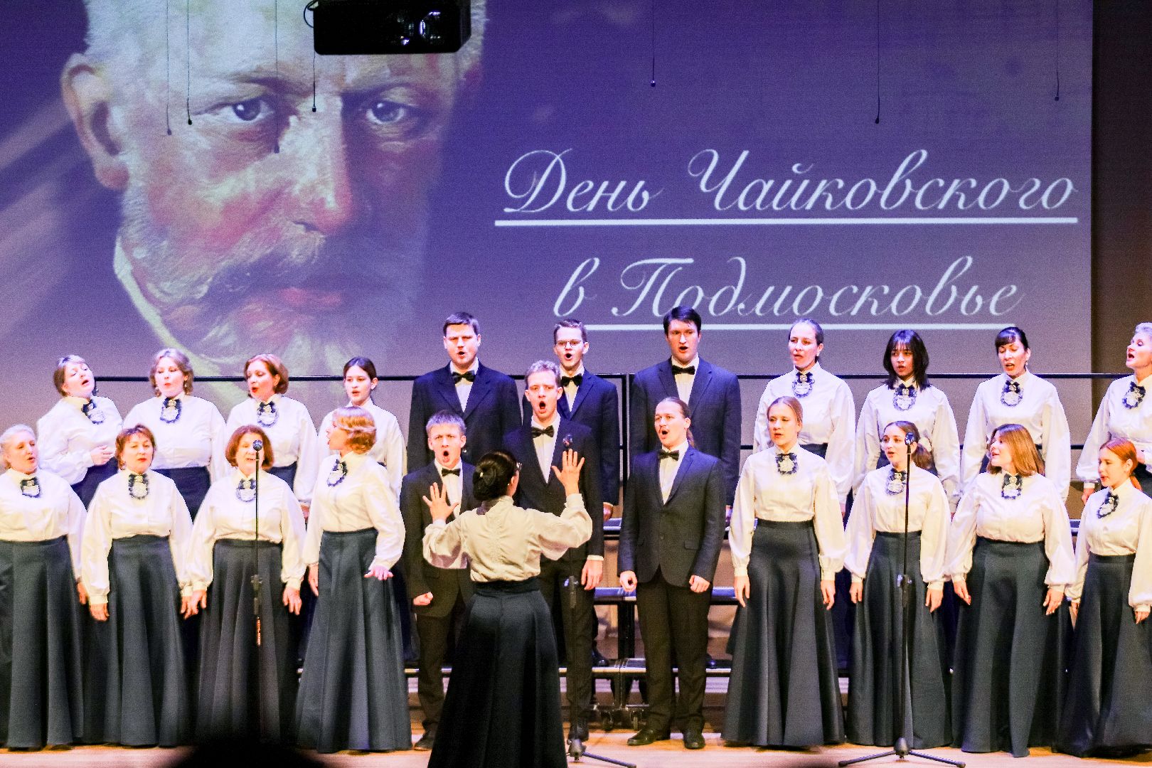 Клин, общество, культура, Чайковский, Подмосковье, вертикалки,