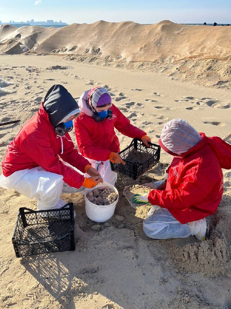 волонтеры, волонтерская миссия в Анапе, волонтерство, Ногинск, Богородский городской округ, вертикалки