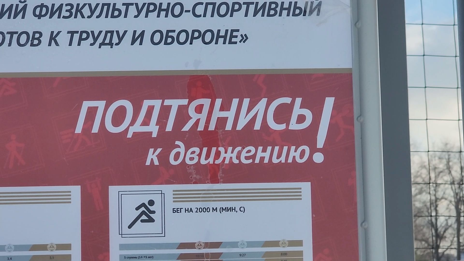 пушкино, спорт, футбол, обновление,