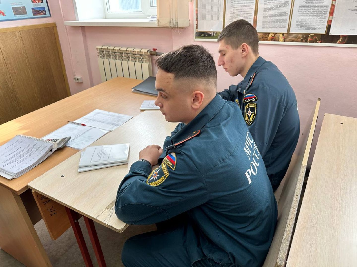 домодедедово, мчс, московия, студент,