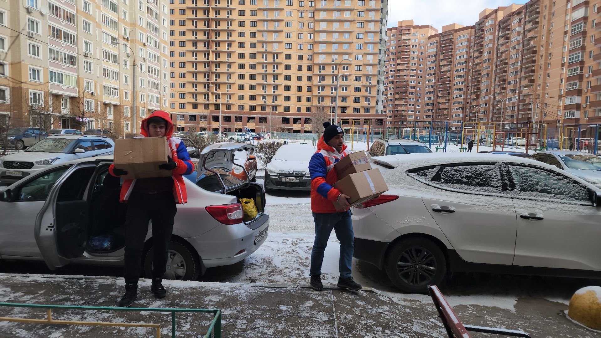 подольск, волонтеры, вертикалки,