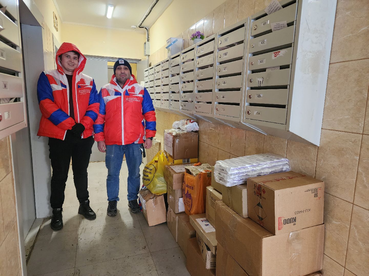 подольск, волонтеры, вертикалки,