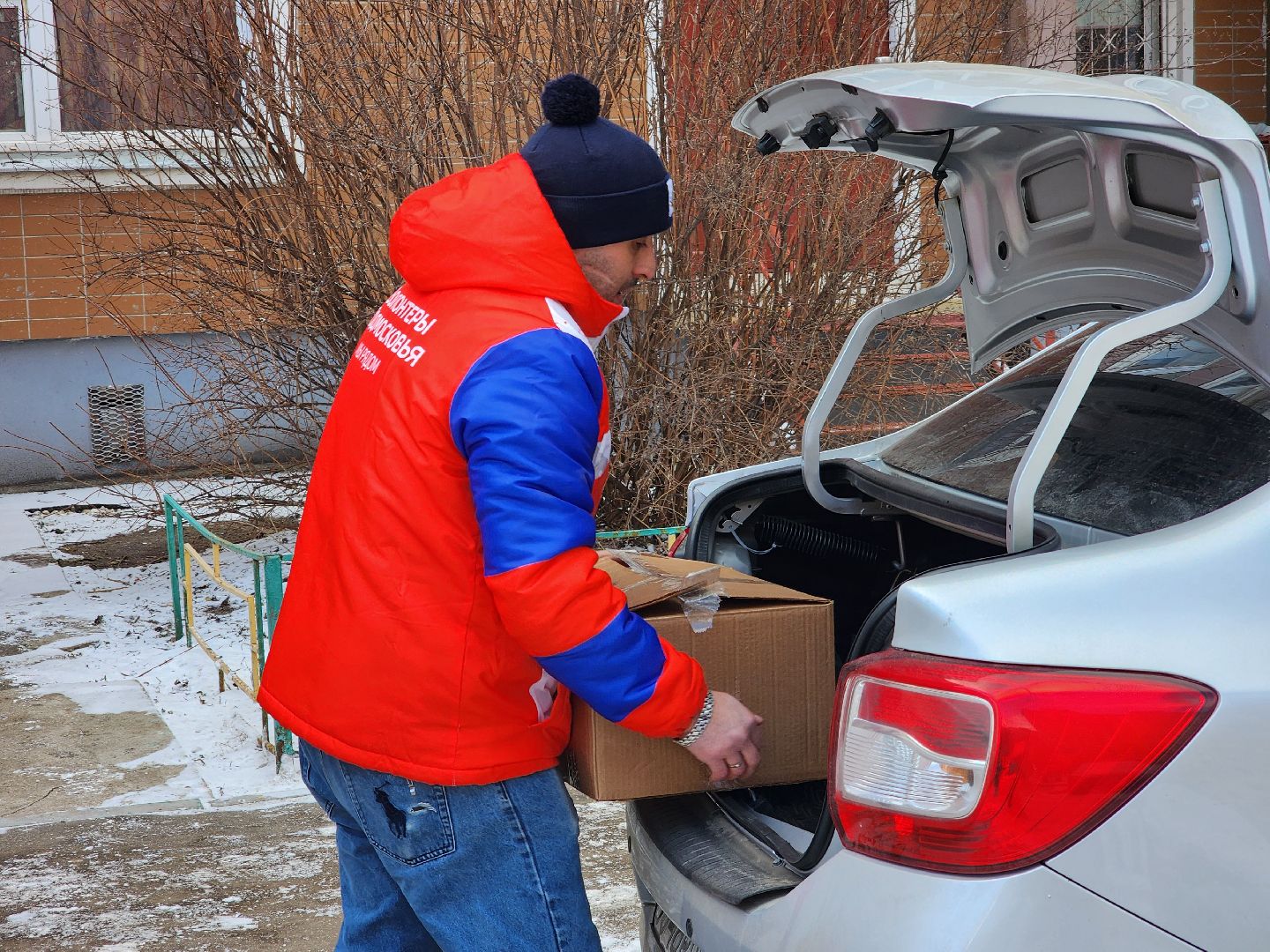 подольск, волонтеры, вертикалки,