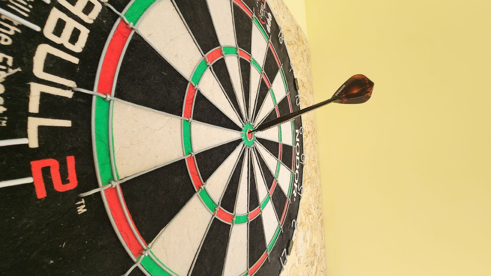 солнечногорск, вертикалки, кдц тимоново, дартс, спорт,