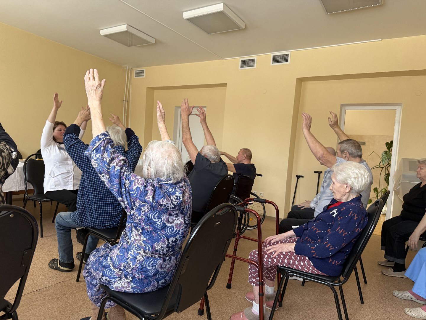 гериатрия, профилактика заболеваний, вертикалки,
