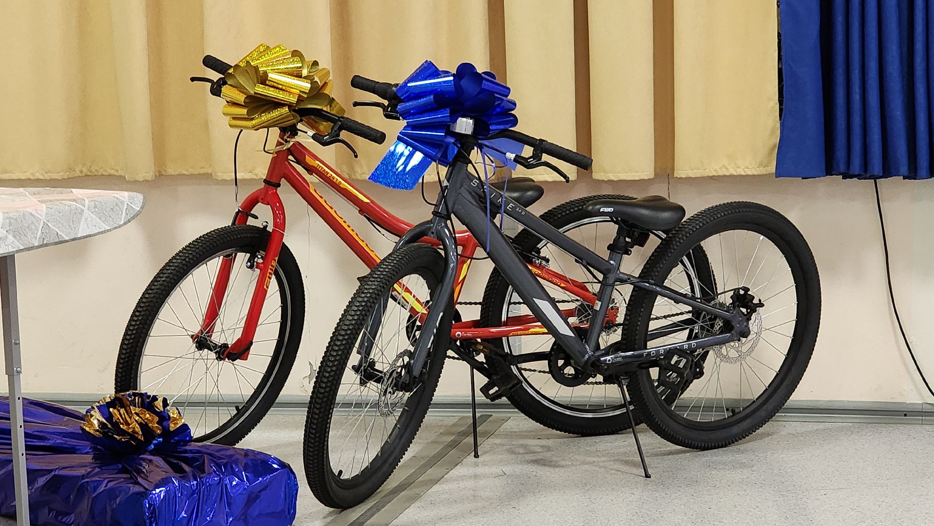 дети, дети с овз, елка желаний, Лосино-Петровский, Росмолодежь, Движение первых,