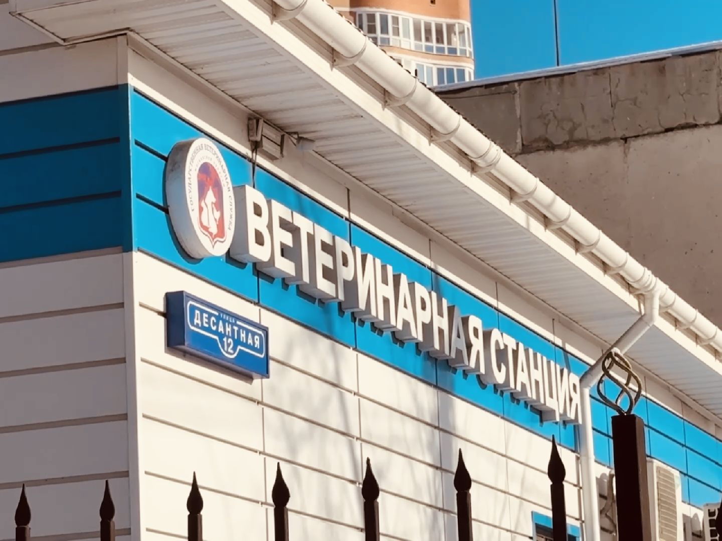 ветеринар, раменское, регистрация животных,