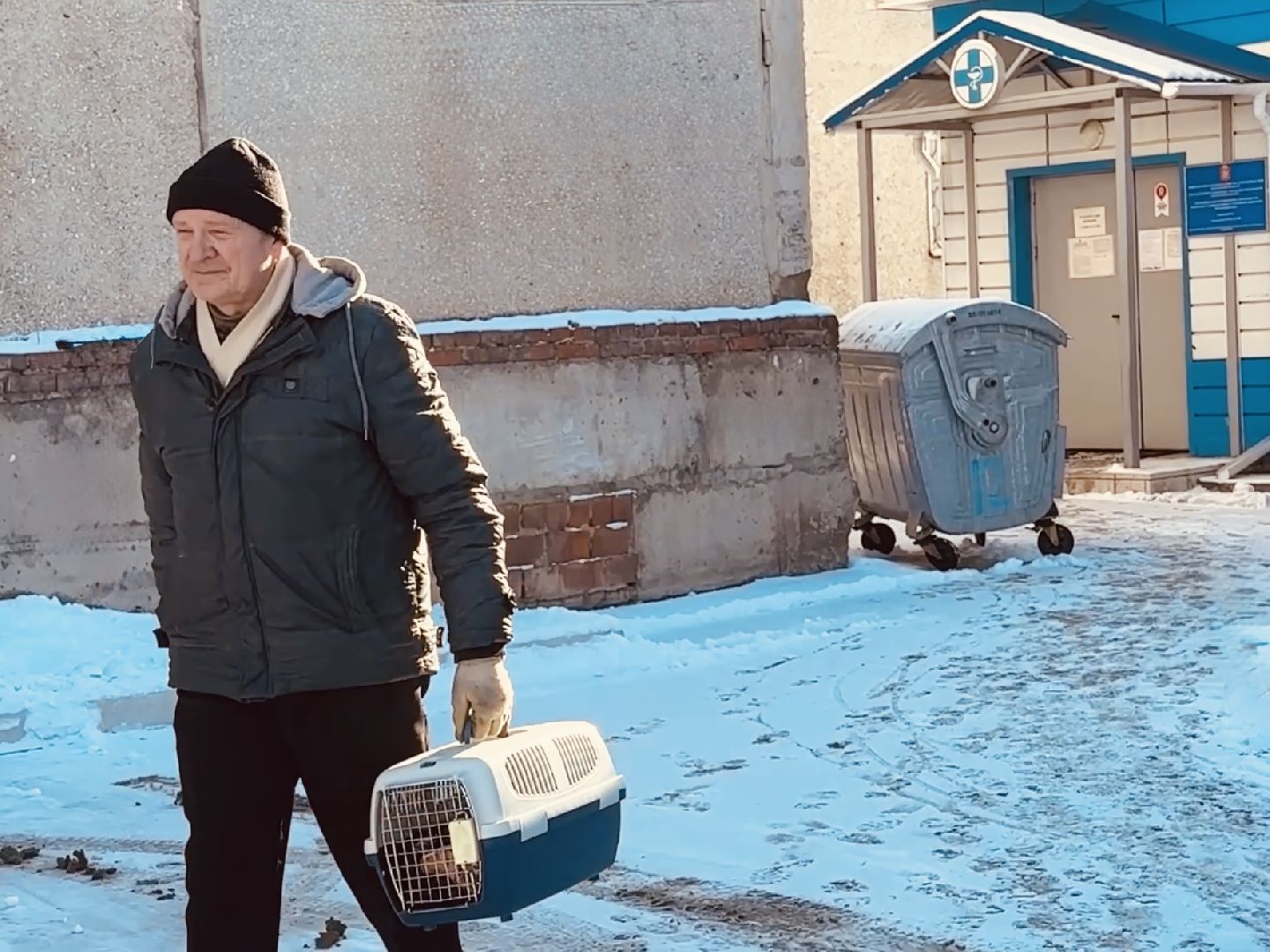 ветеринар, раменское, регистрация животных,