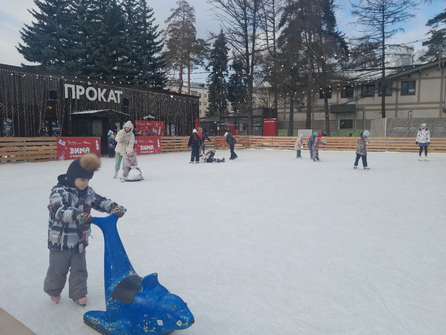 каток, балашиха, семья, развлечение, отдых, парк,