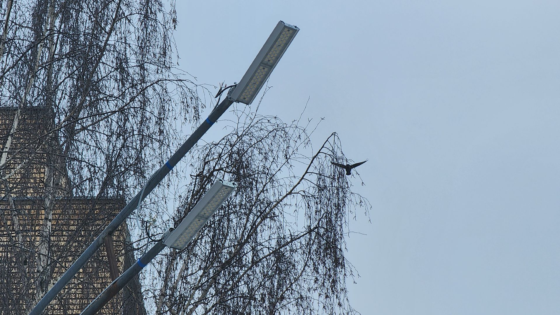 Руза, замена фонарей, освещение улиц, рузский округ, благоустройство,