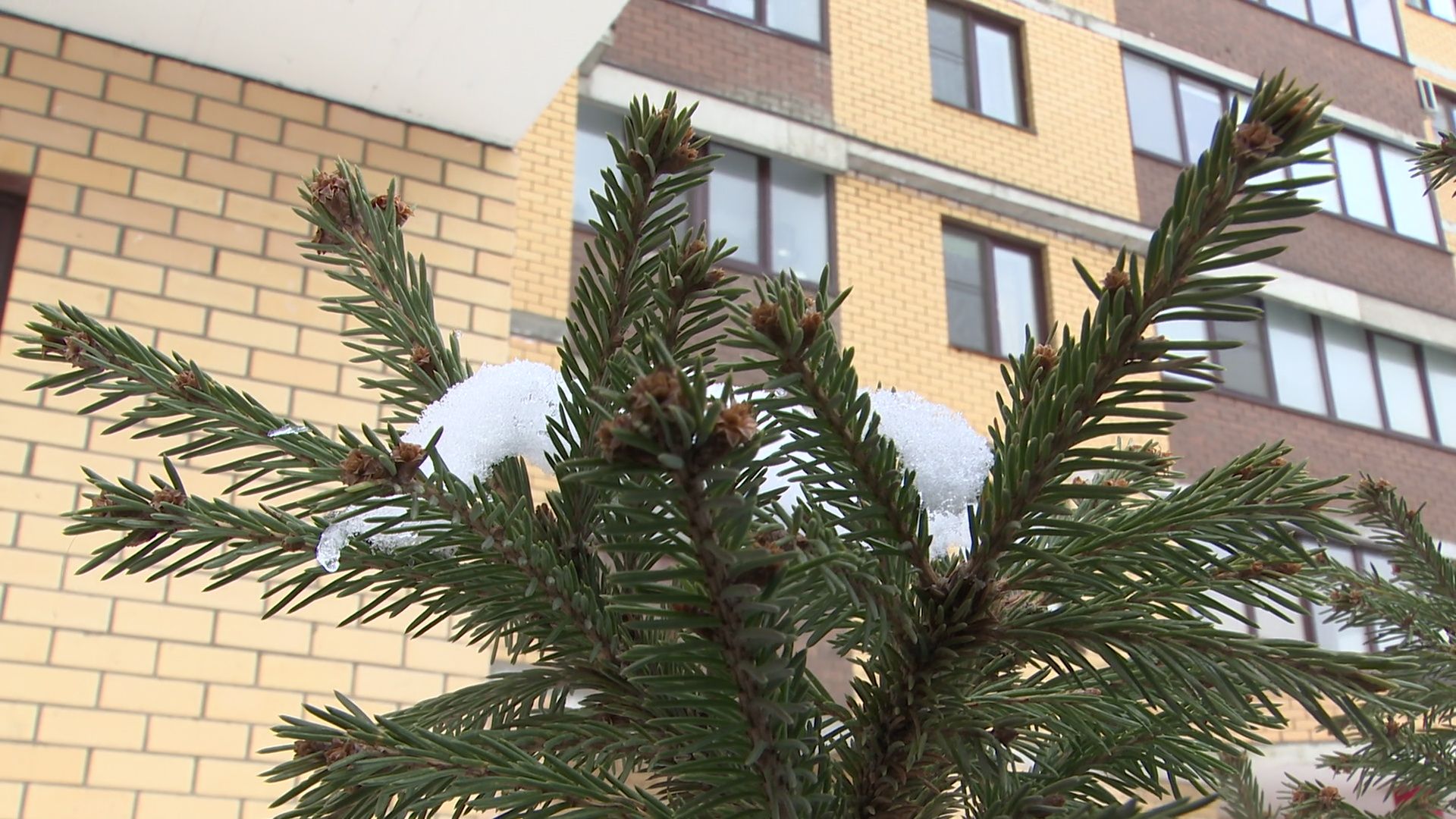 реутов, вертикалки, борьба со снегом, уборка снега, снегопад,