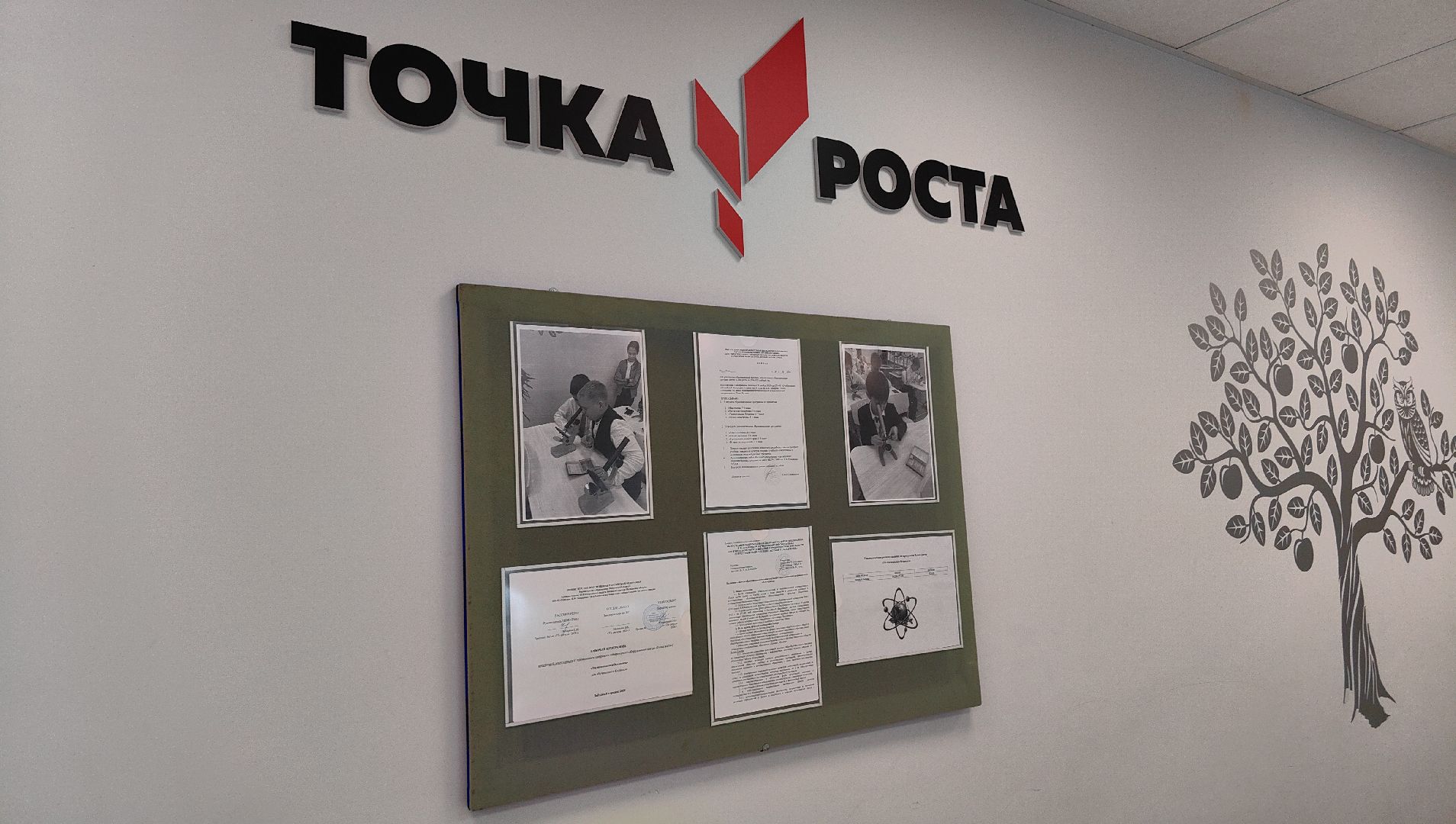 лаборатория, точка роста, школа, химия, вертикалки,