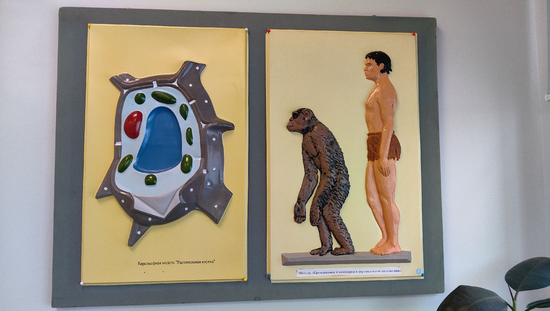 лаборатория, точка роста, школа, химия, вертикалки,