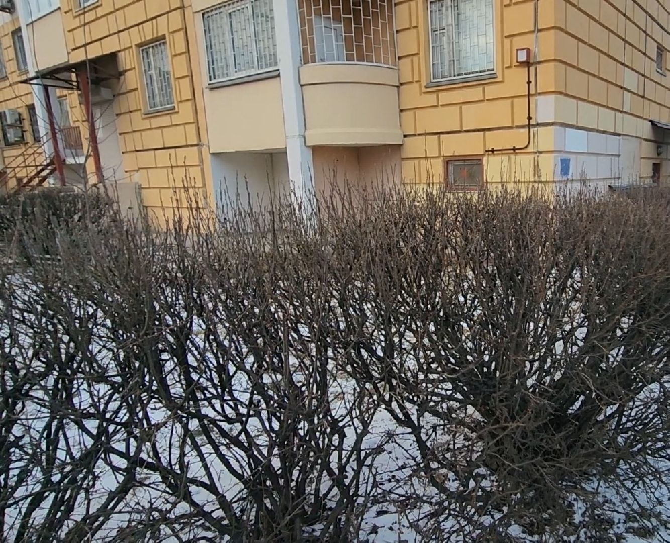 долгопрудный, новый бульвар, домофон, роман истомин, пандус, входные группы, вертикалки,