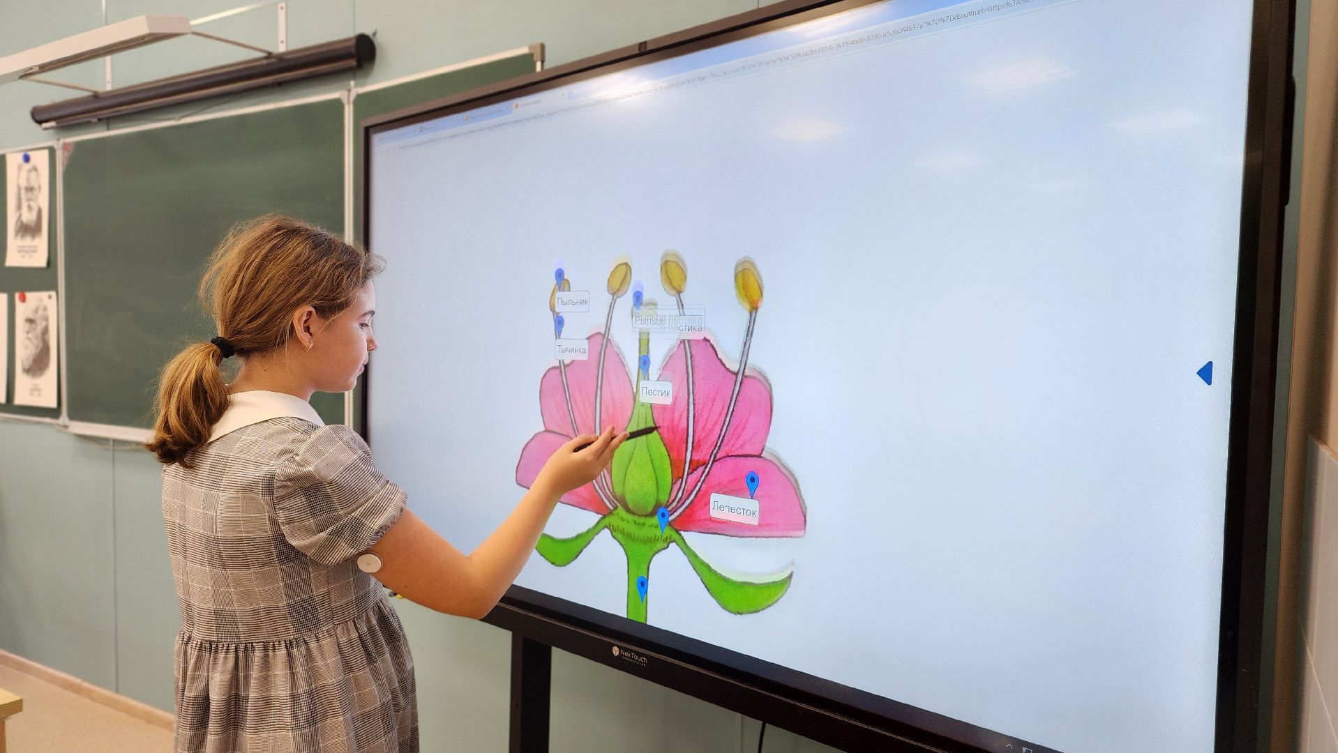 образование, Лучший учитель, Лосино-Петровский,