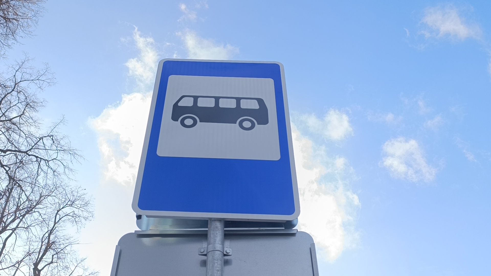 транспорт, автобус, лобня, дети, вертикалки,