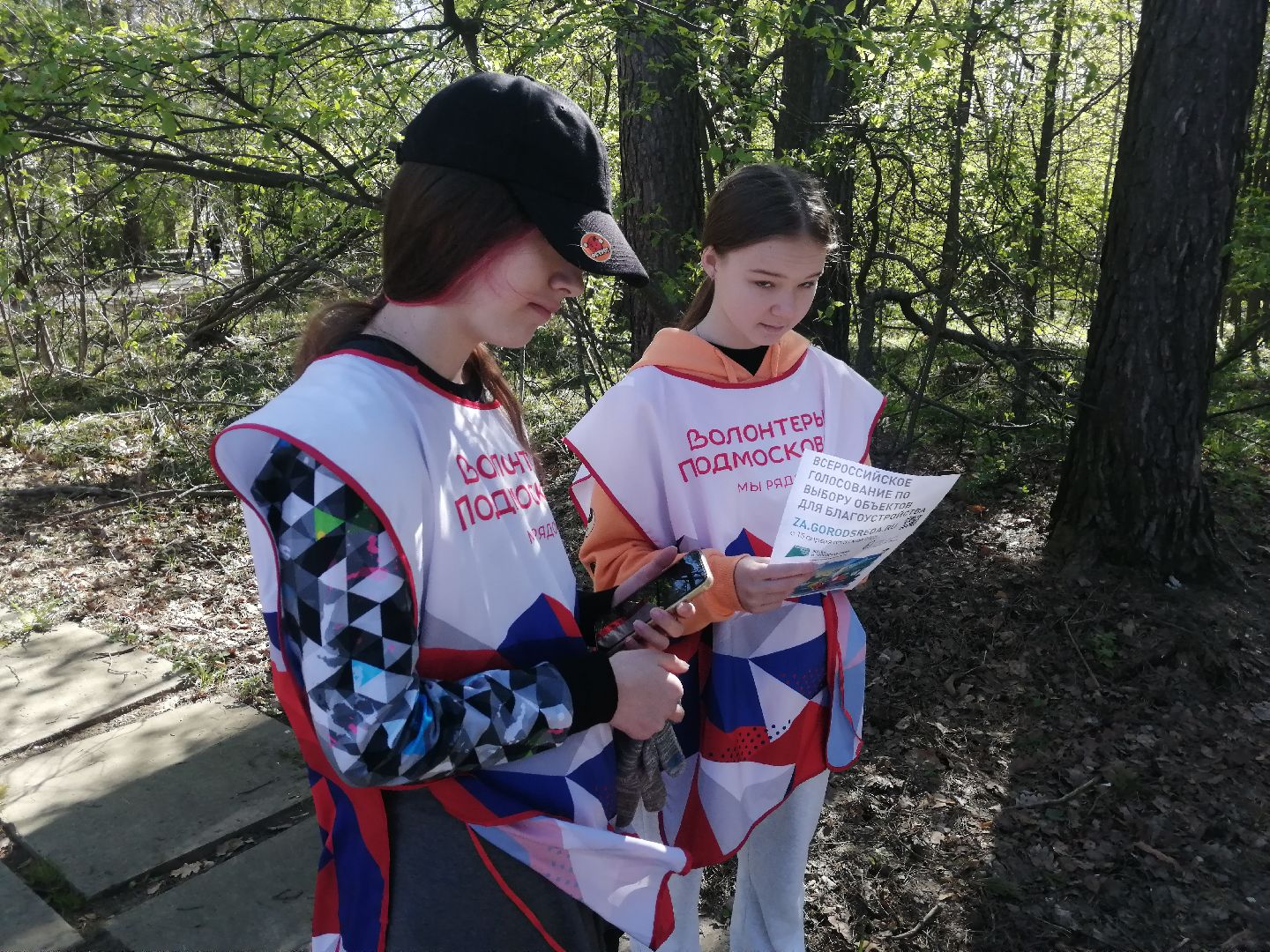 волонтеры, субботник, голосование, благоустройство, Протвино