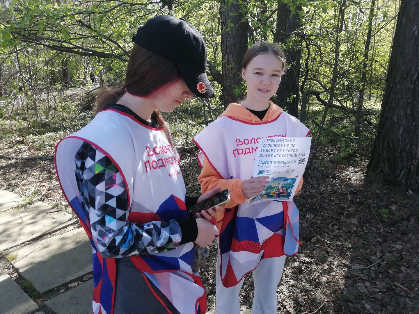 волонтеры, субботник, голосование, благоустройство, Протвино