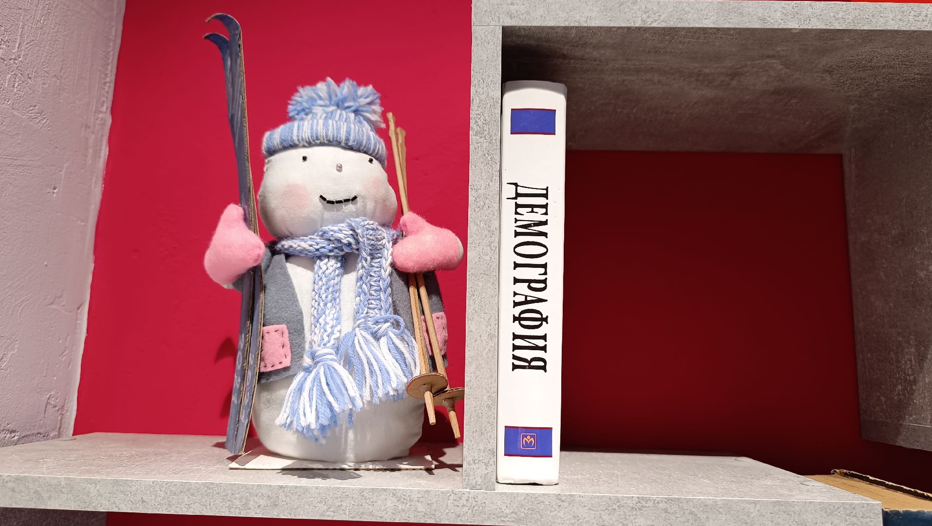 книги, библиотека, буккроссинг, лобня, вертикалки