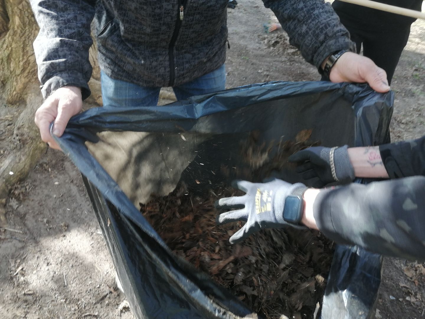 субботник, общеобластной субботник, Протвино, активные жители, городские леса