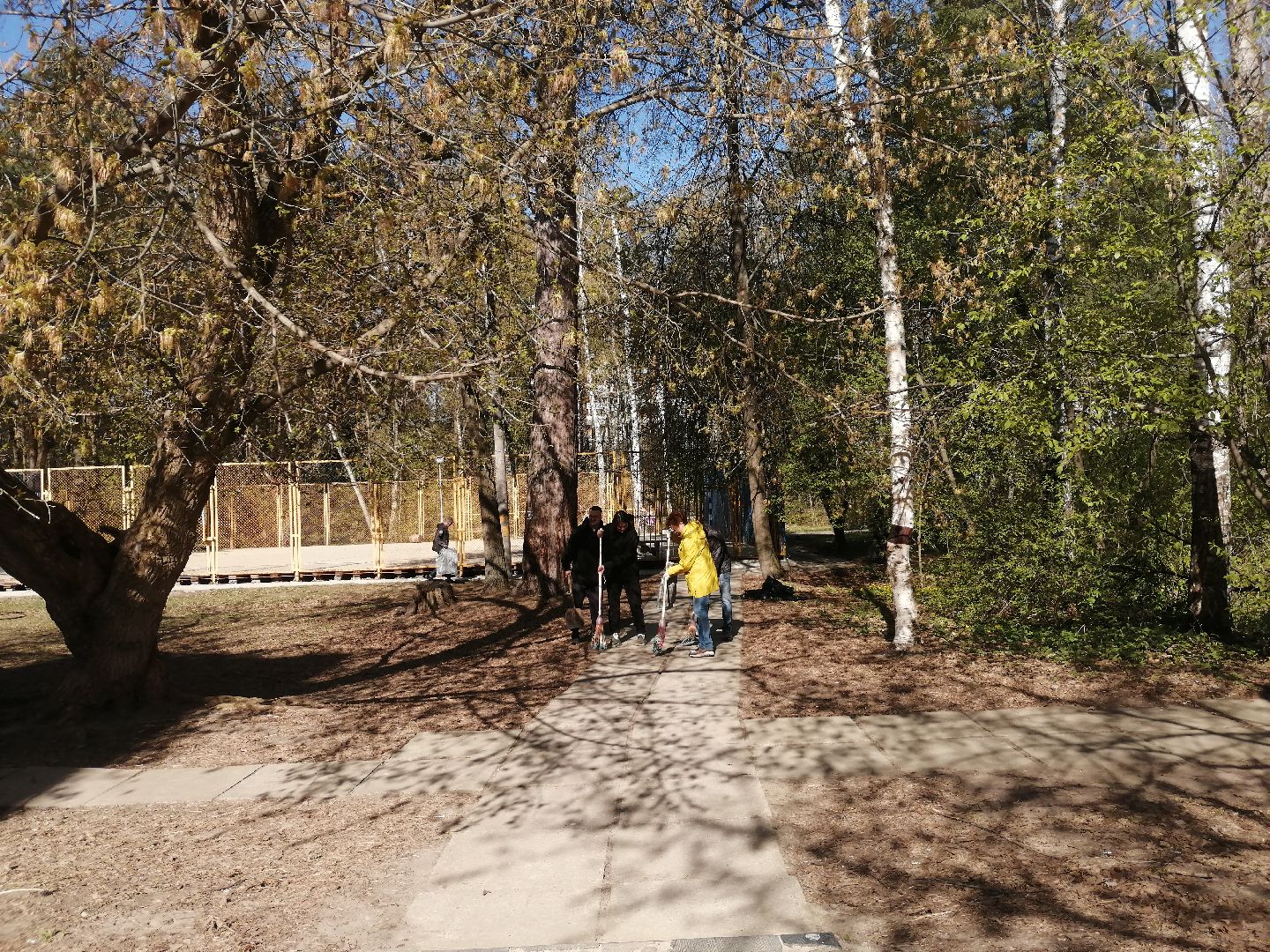 субботник, общеобластной субботник, Протвино, активные жители, городские леса