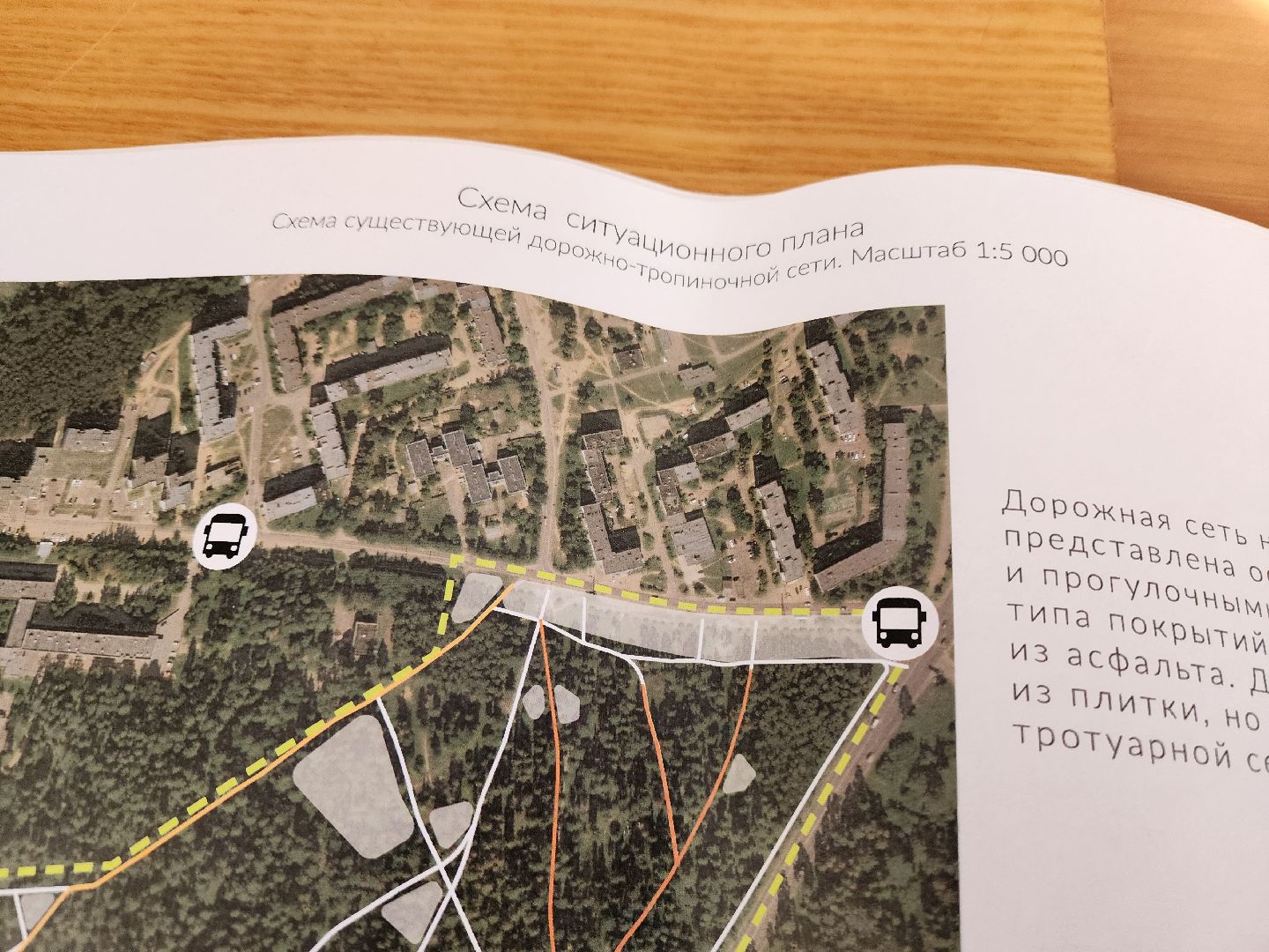 красноармейск, городской округ пушкинский, лесопарк, благоуйстройство, неравнодушные жители, вертикалки,
