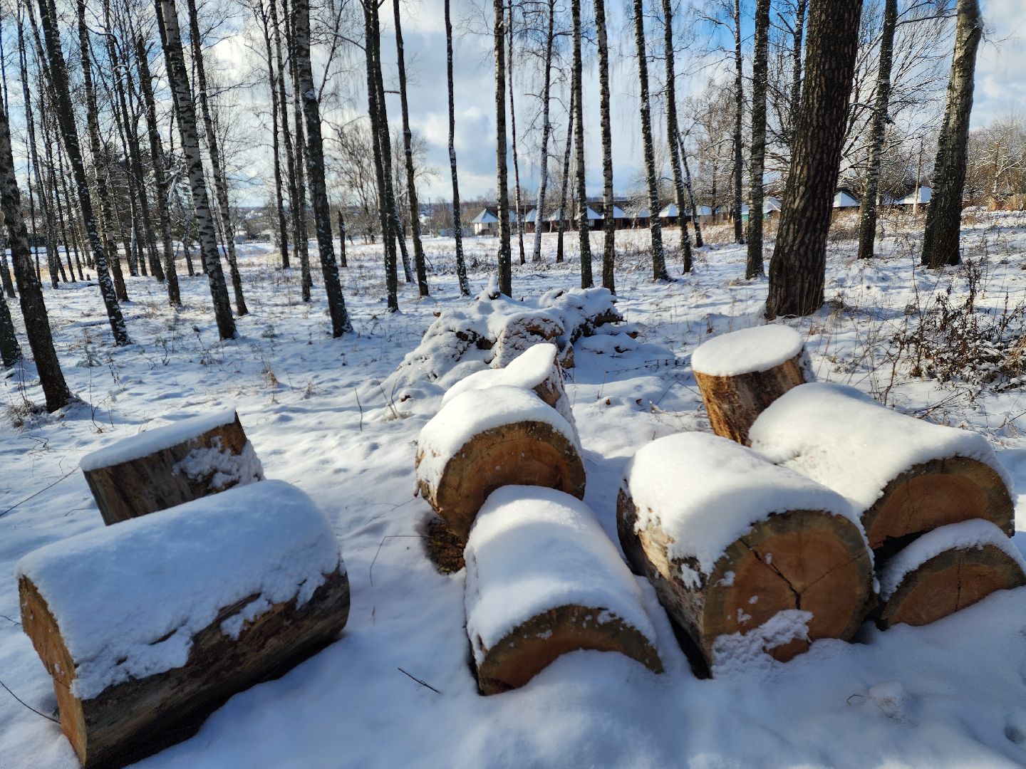 красноармейск, городской округ пушкинский, лесопарк, благоуйстройство, неравнодушные жители, вертикалки,