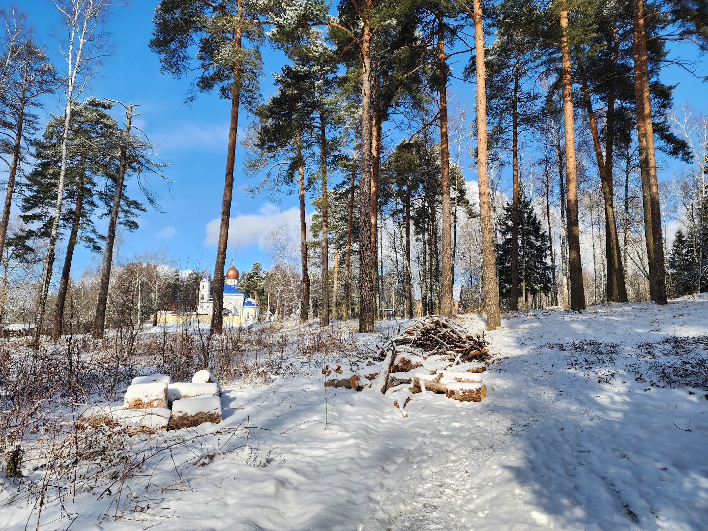 красноармейск, городской округ пушкинский, лесопарк, благоуйстройство, неравнодушные жители, вертикалки,