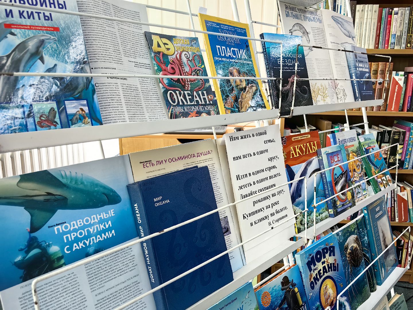 экоцентр, экология, Защитим морских млекопитающих, конкурс, рисунки, вертикалки,