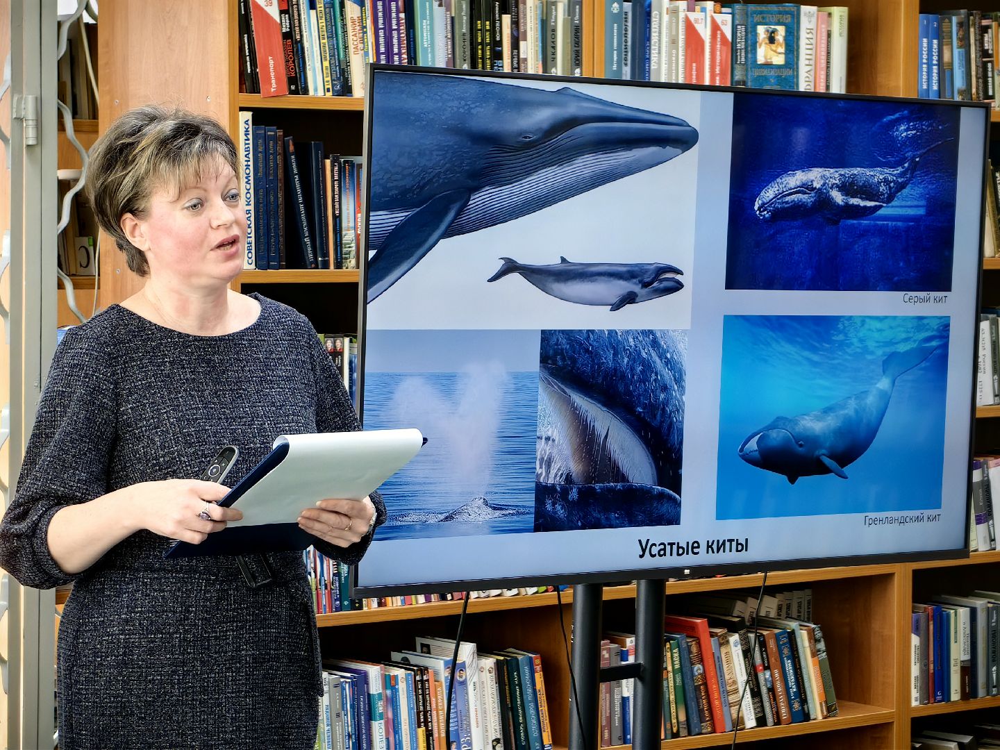 экоцентр, экология, Защитим морских млекопитающих, конкурс, рисунки, вертикалки,