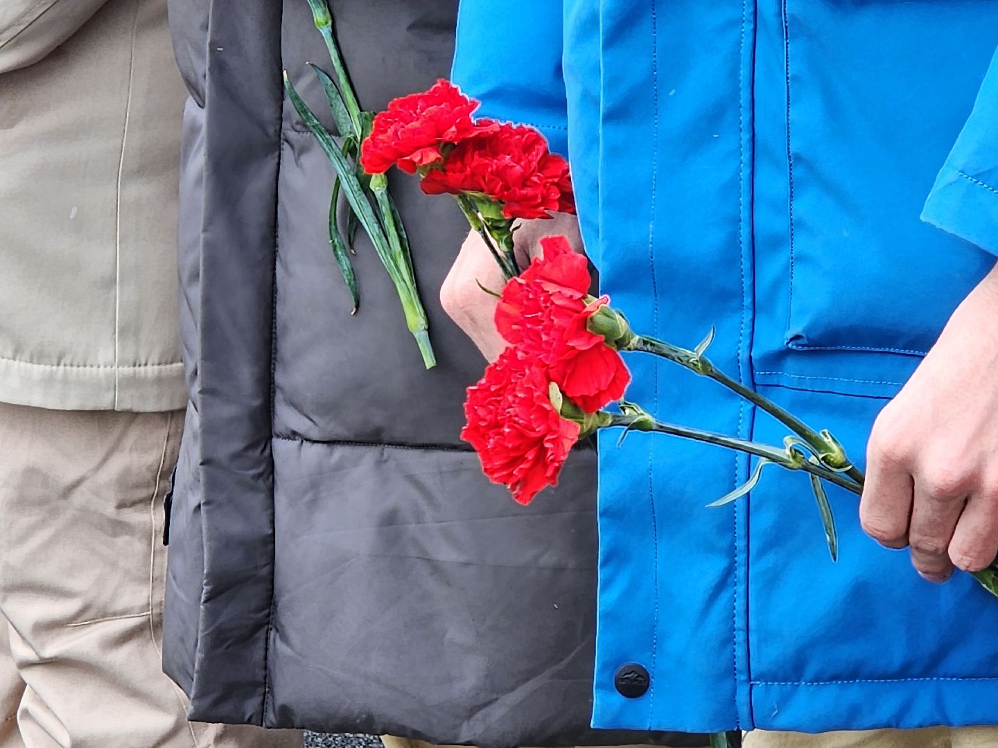 вертикалка, мытищи, митинг, день защитника отечества, память, великая отечественная война,