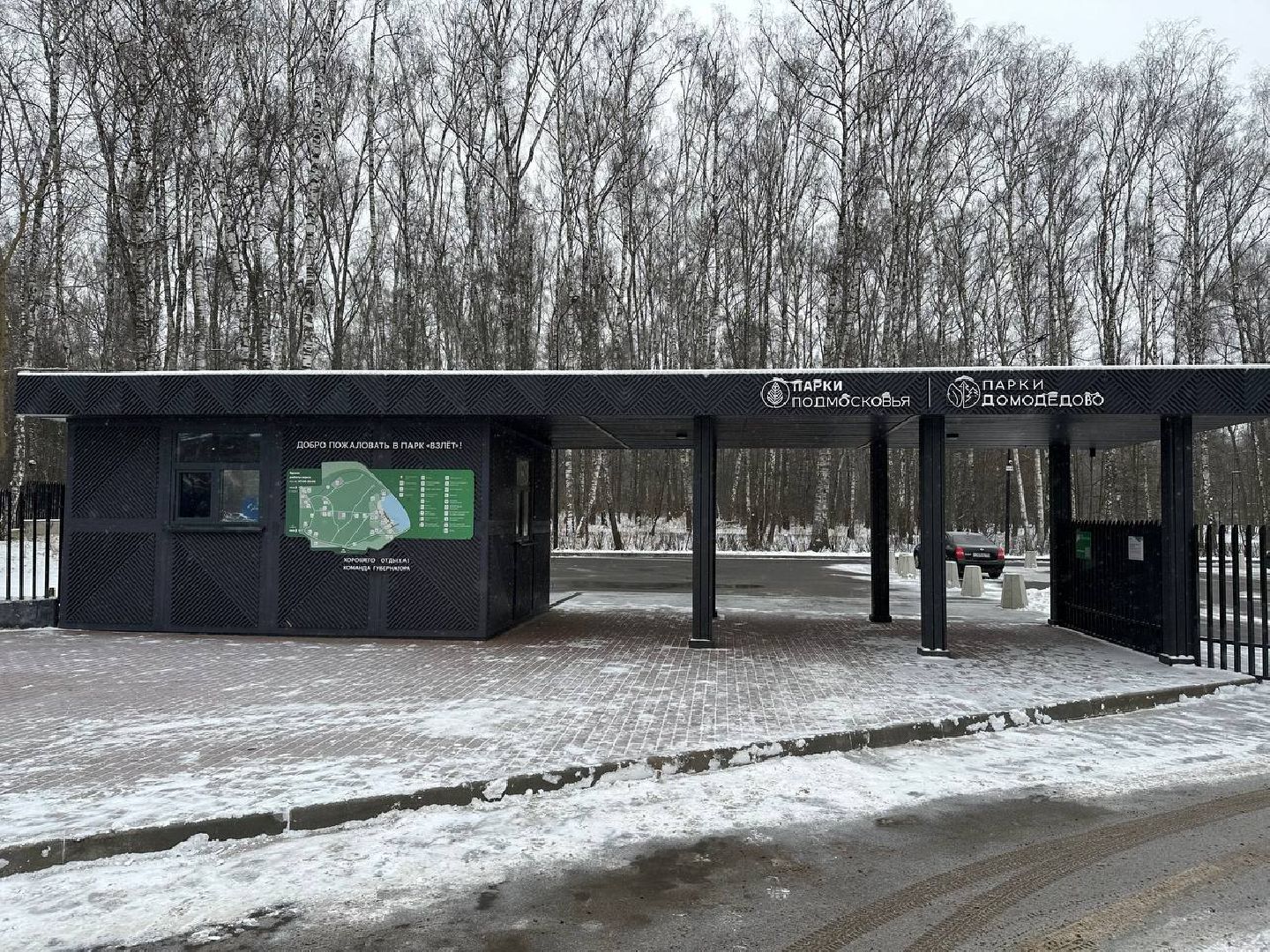 каток в парке, домодедедово,