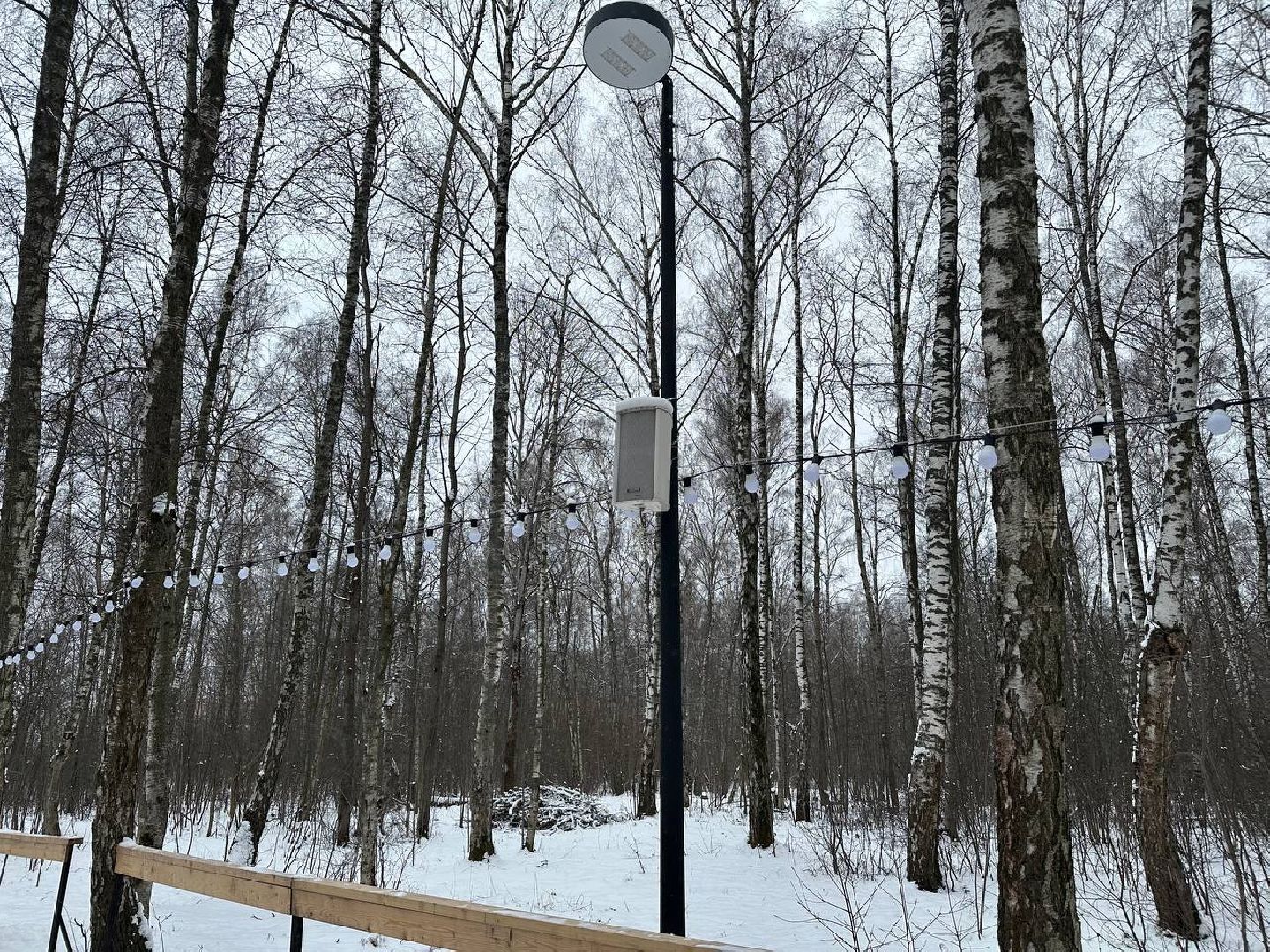 каток в парке, домодедедово,