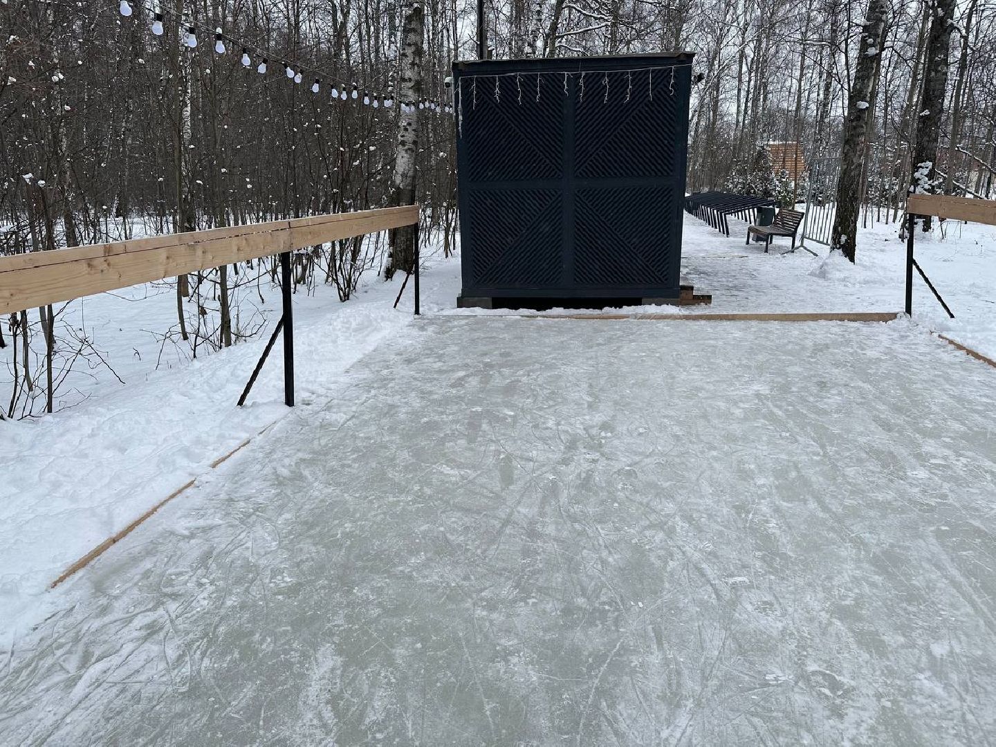 каток в парке, домодедедово,