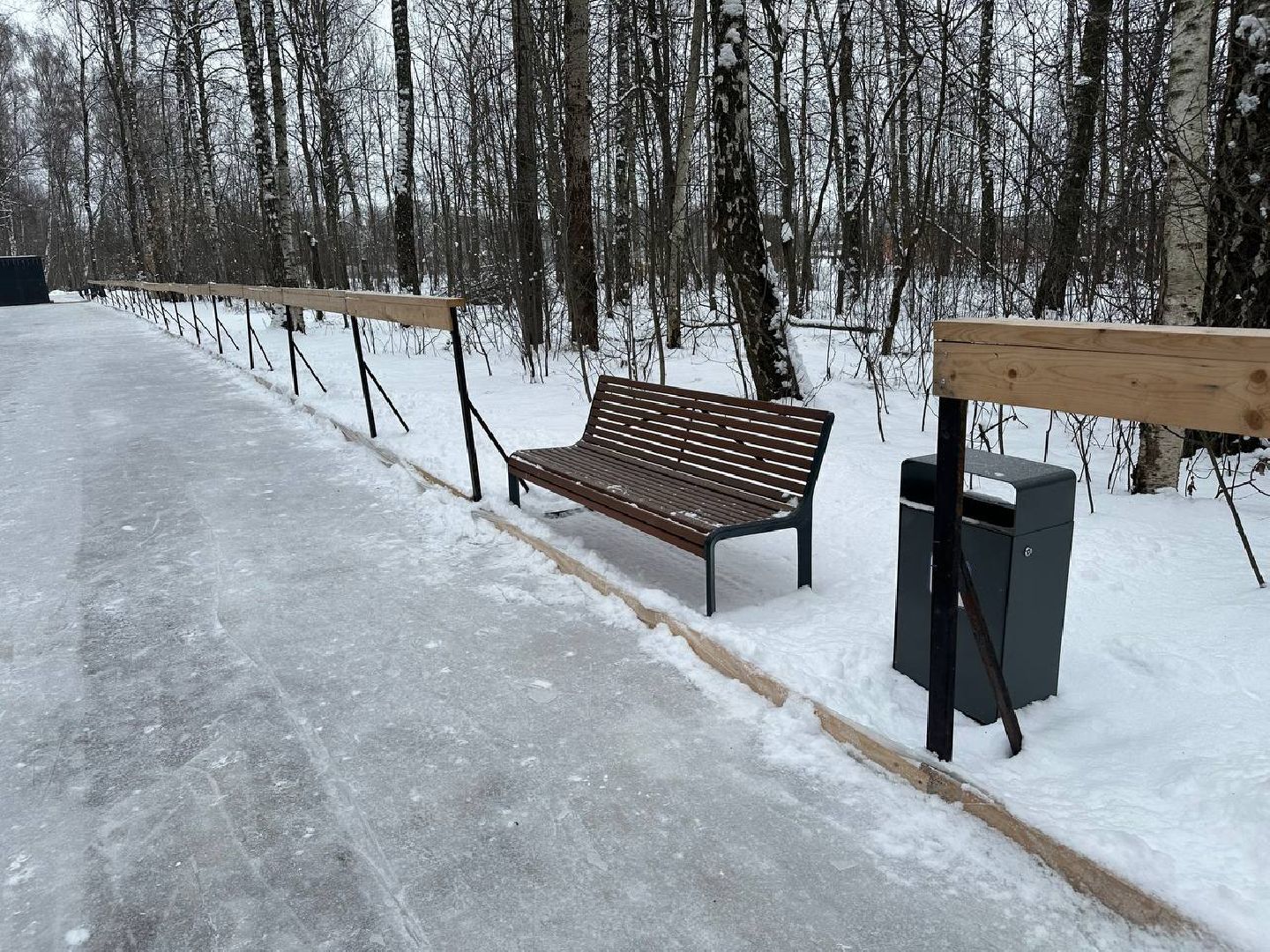 каток в парке, домодедедово,