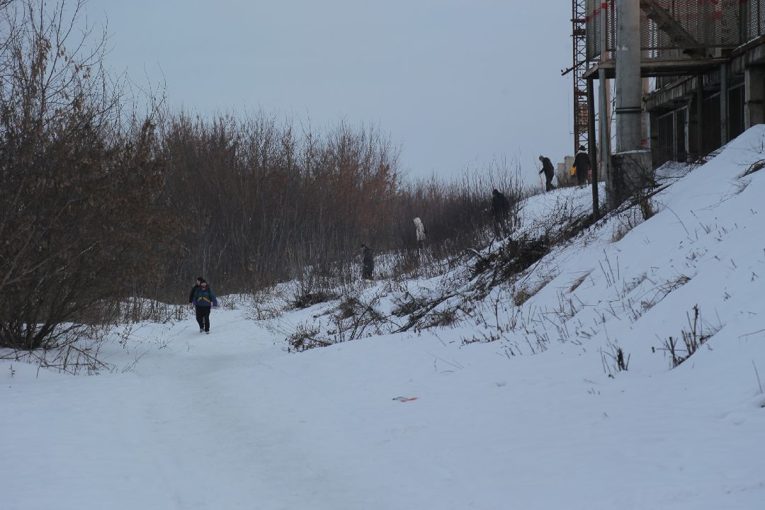 Жуковский, общество