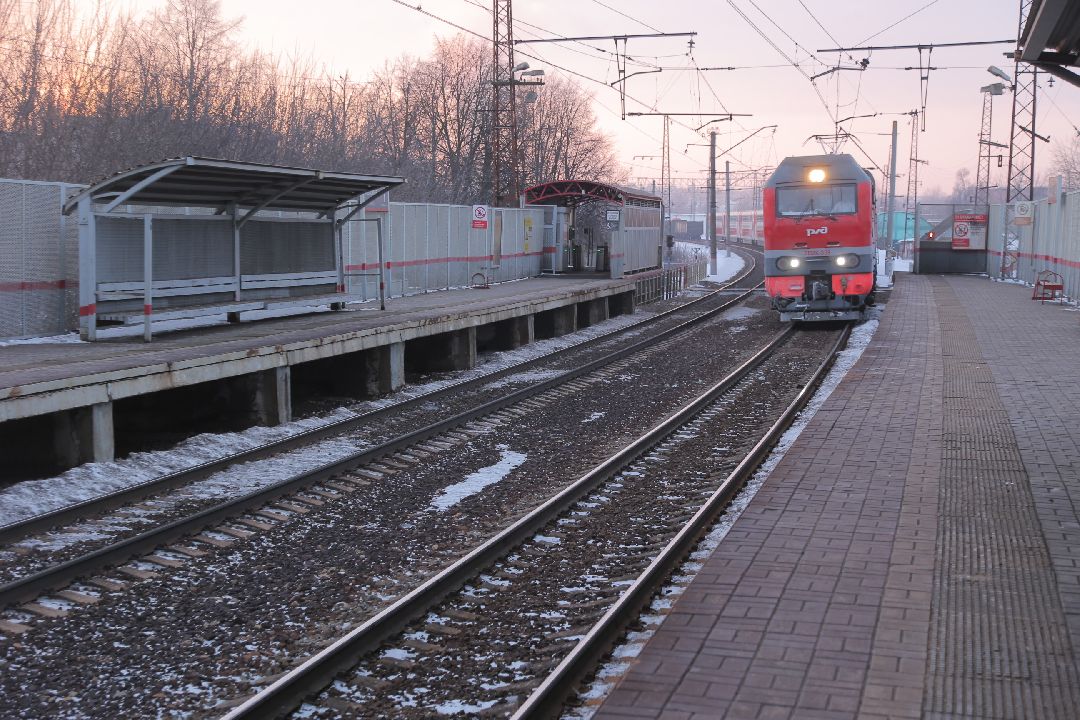Жуковский, общество