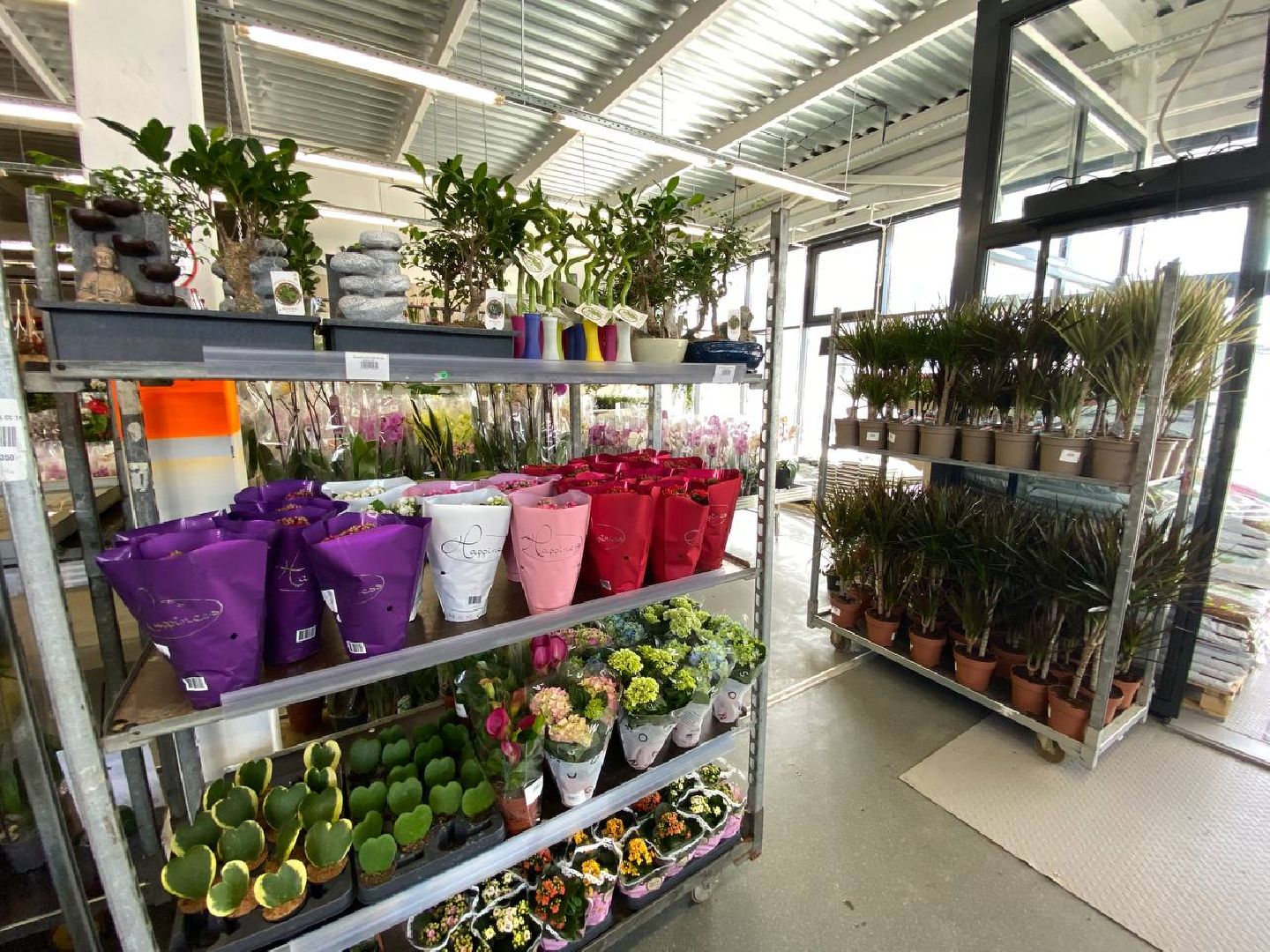вертикалки, посадочка, цветочный магазин, садовыйцентр, цветывнахабино, цветыкрасногорск,