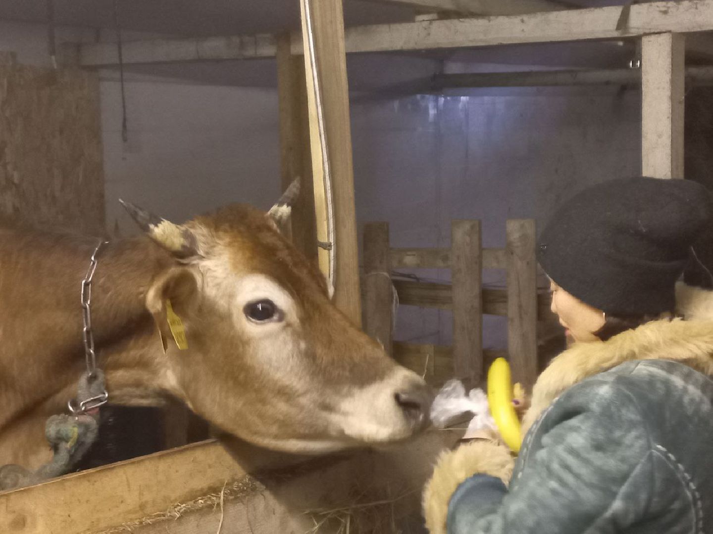 сергиев посад, миродолье, булатовское подворье,