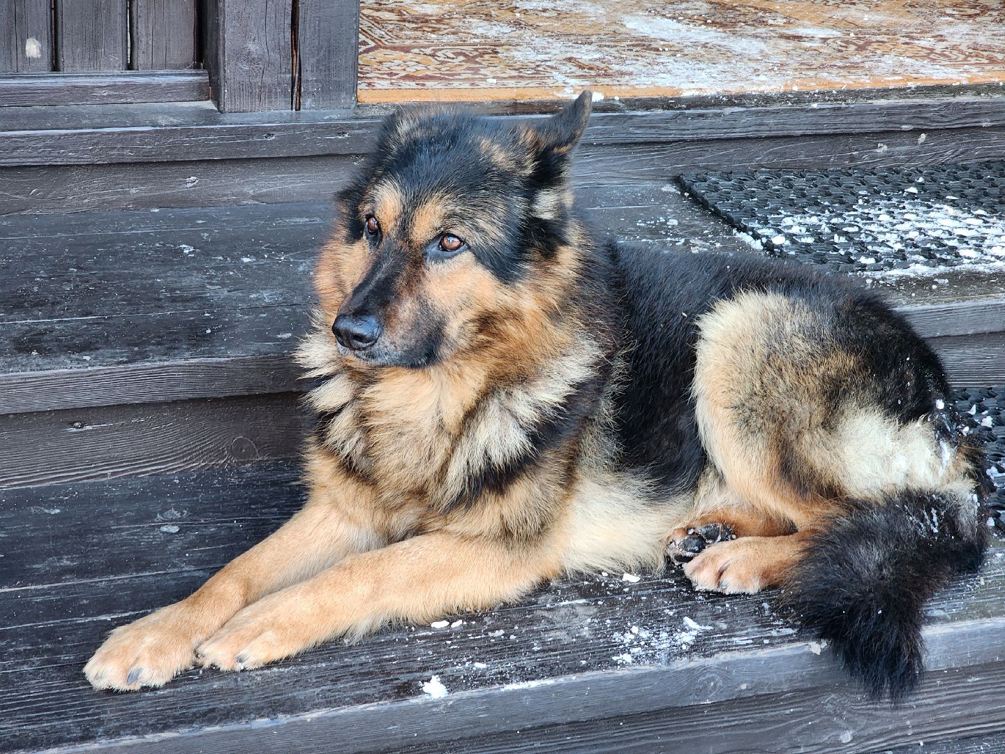 пушкино, помощь, благотворительность, церковь,