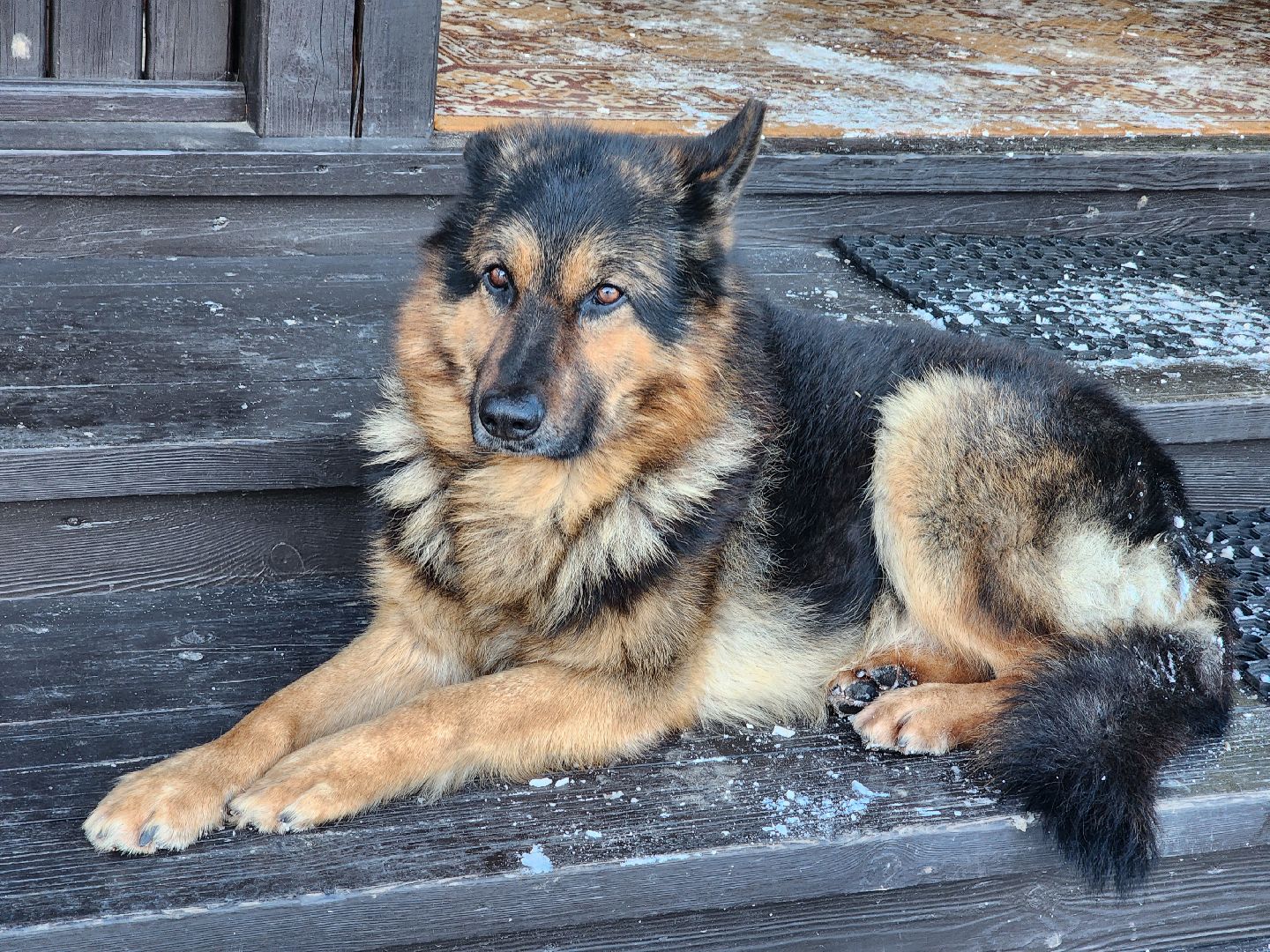 пушкино, помощь, благотворительность, церковь,