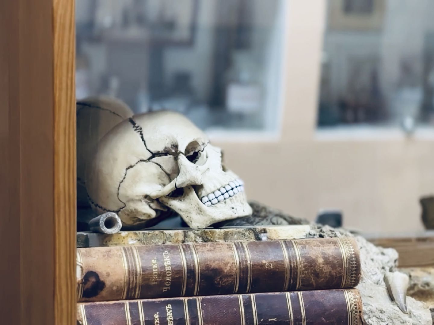 гжель, донино, раменское, музей, сво, мариуполь, фарфор,