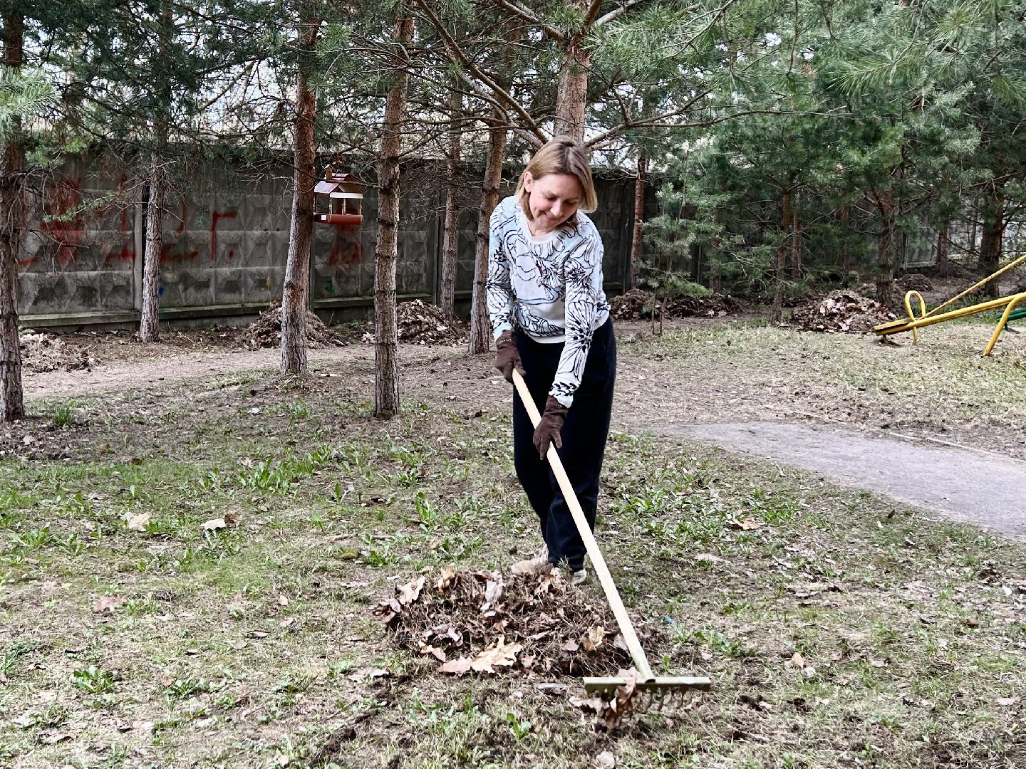 благоустройство, субботник, Фрязино, уборка