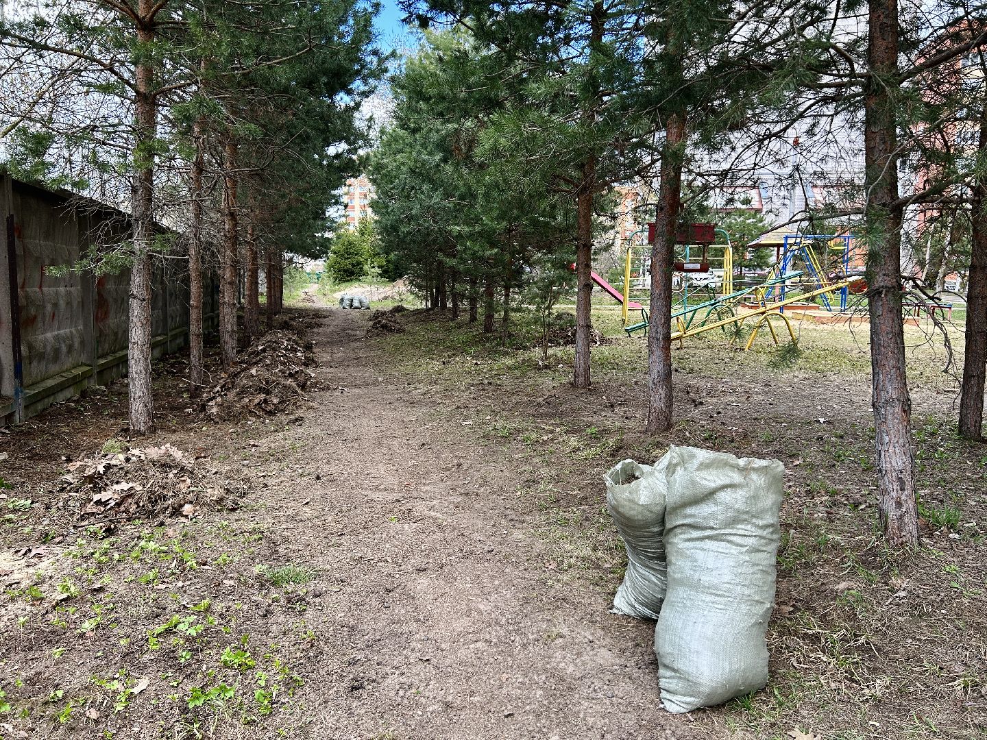 благоустройство, субботник, Фрязино, уборка
