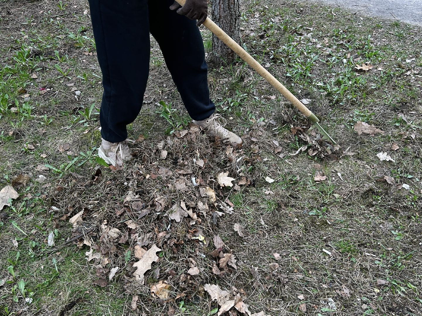 благоустройство, субботник, Фрязино, уборка