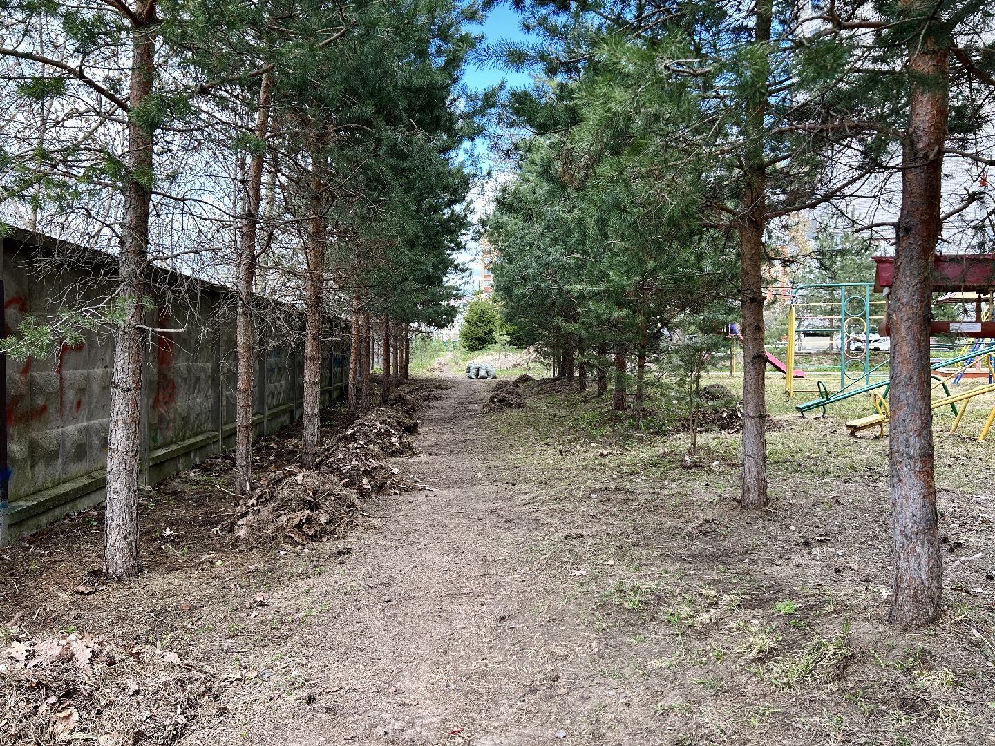 благоустройство, субботник, Фрязино, уборка