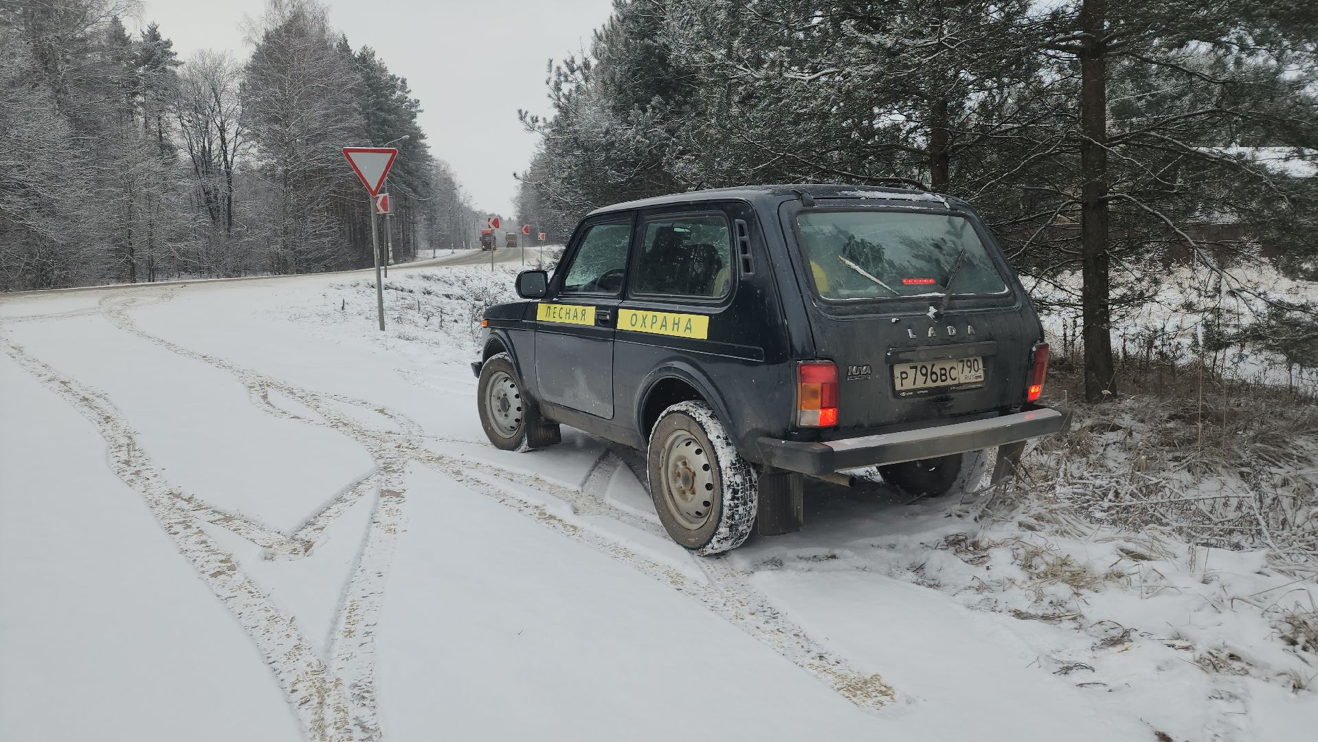ступино, лесничие, русский лес,