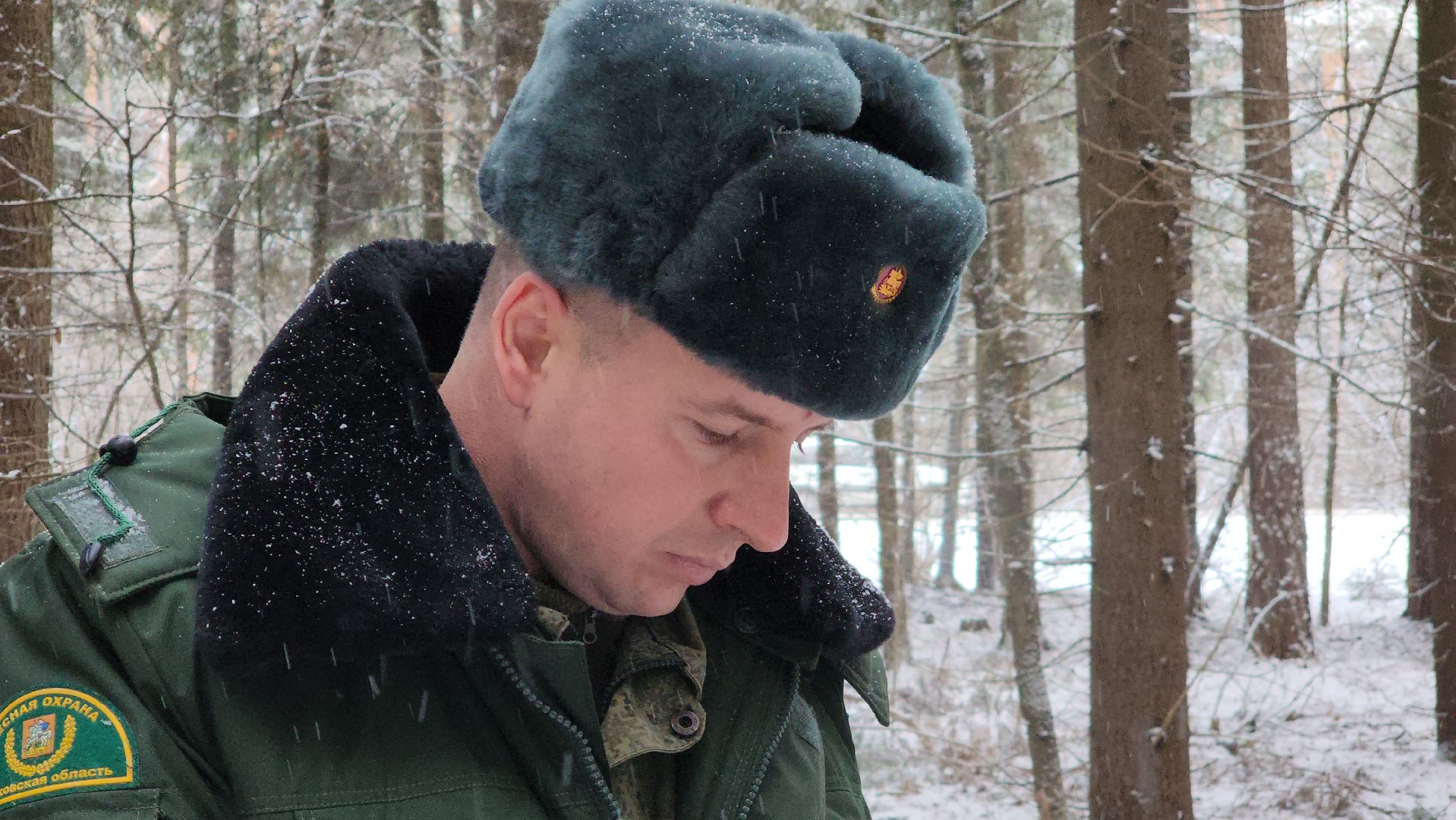 ступино, лесничие, русский лес,